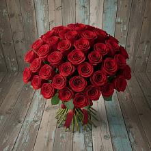 Букет 55 Красных роз Фридом #REPLACE_PRED# Сосновый