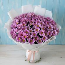 Букет цветов из:  Хризантемы в Сосновый