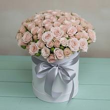 Цветочная композиция из Розы в шляпной коробке #REPLACE_PRED# Сосновый