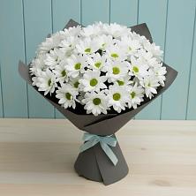 Букет цветов из:  Хризантемы в Сосновый