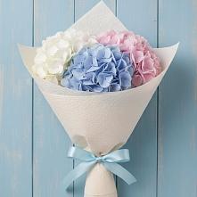 Букет цветов из:  Гортензия в Сосновый