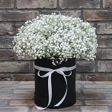 Цветочная композиция из Гипсофила в шляпной коробке #REPLACE_PRED# Сосновый