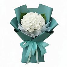 Букет цветов из:  Гортензия в Сосновый
